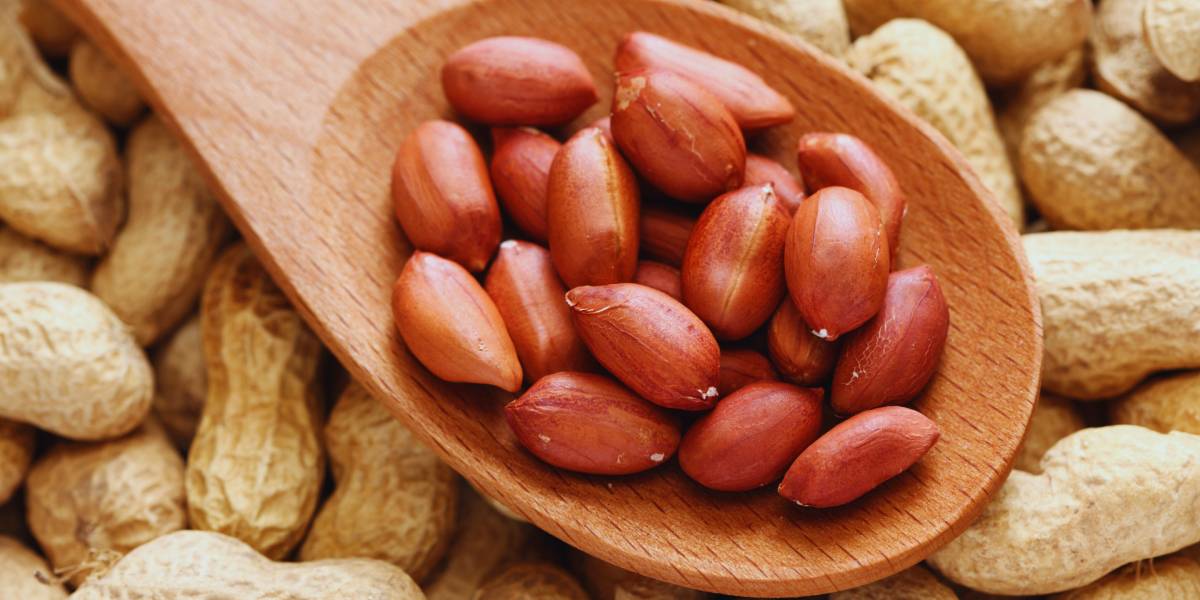 A quick guide to the serving size of nuts fastachi