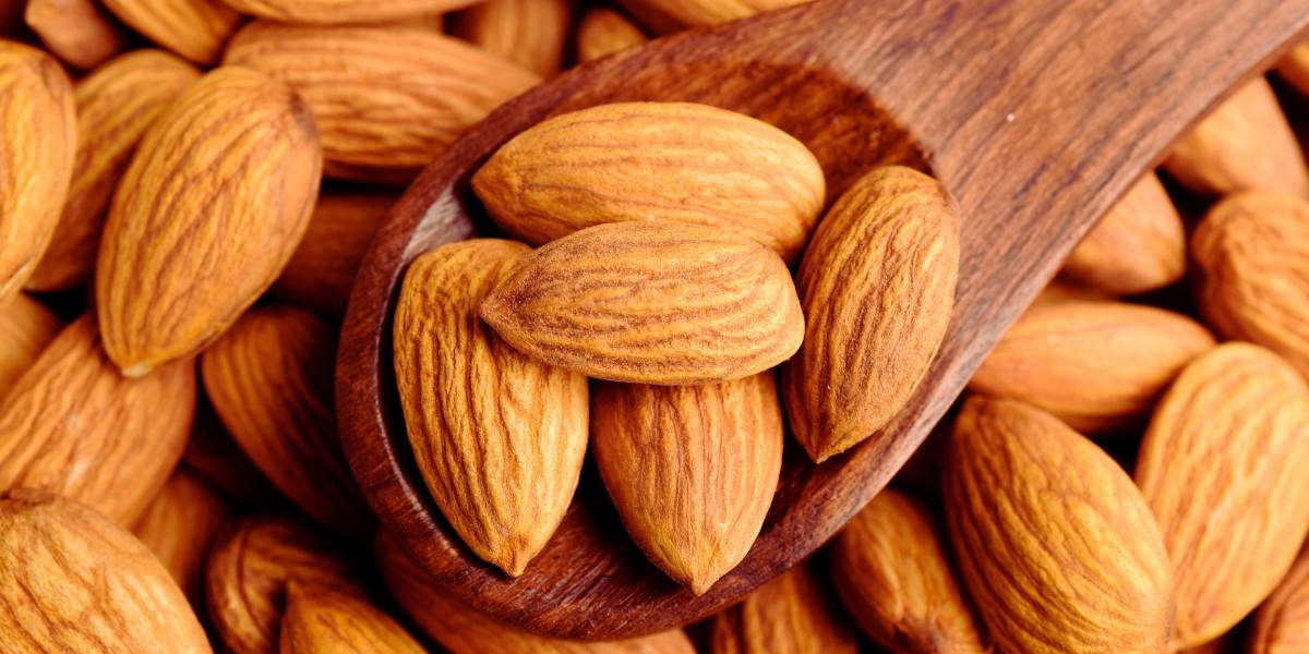 A quick guide to the serving size of nuts fastachi